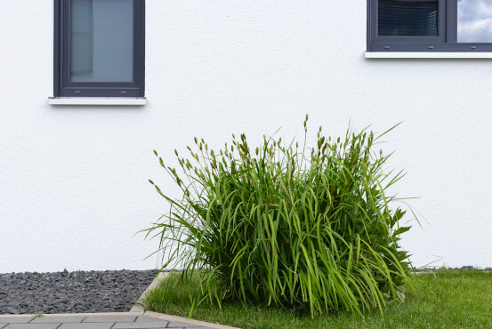 External window sills