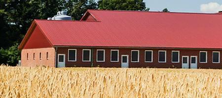 Barn windows