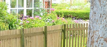 Fenced garden with garden shed