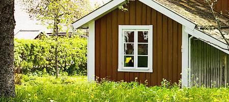 Garden shed windows