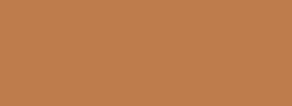 RAL 1011 Brown beige